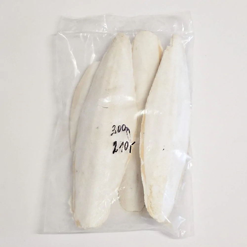 Sépiová kost pravá velká 300g