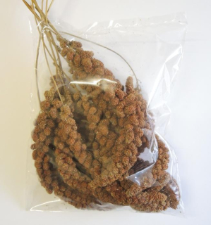 Senegalské proso klasy (Čína) 250 g