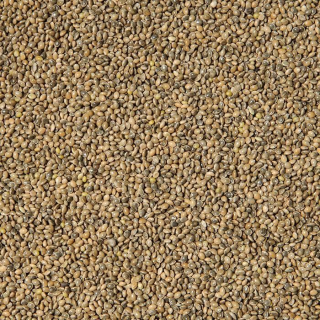 Proso zelené 5 kg